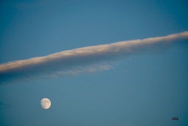 写真: 飛行機雲と月