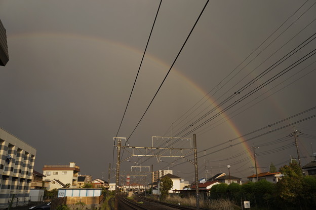 写真: 大きな虹