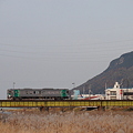 高徳線、普通列車