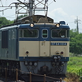 写真: EF64-1014（東北本線）