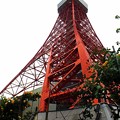 見上げる東京タワー
