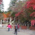 写真: 紅葉の南湖神社
