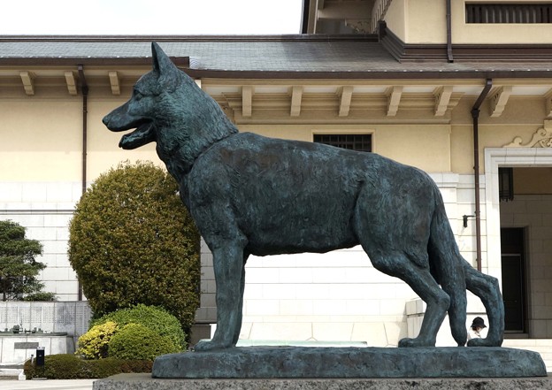 写真: 犬の銅像