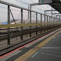 写真: 新幹線が行く