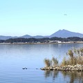 写真: 霞ヶ浦と筑波山
