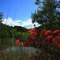 美笹湖の赤と緑とそよかぜと・・・_014
