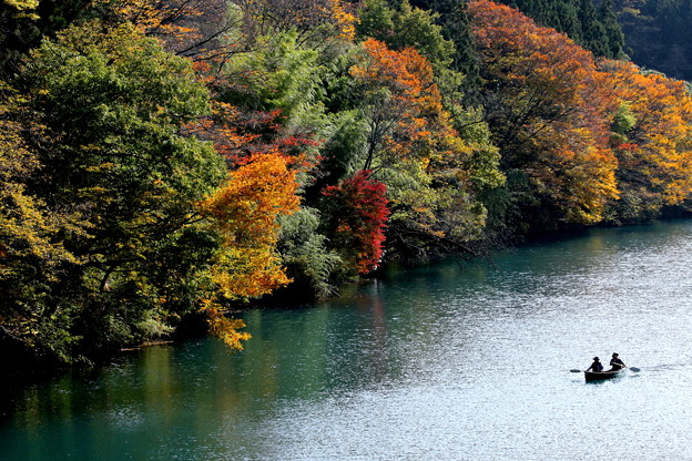 写真: 秋の湖畔