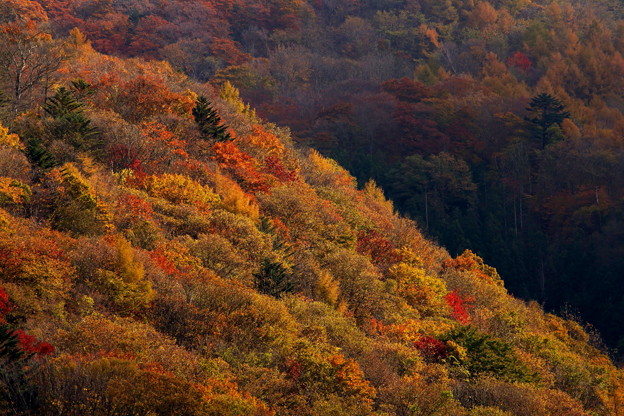 写真: 秋景５