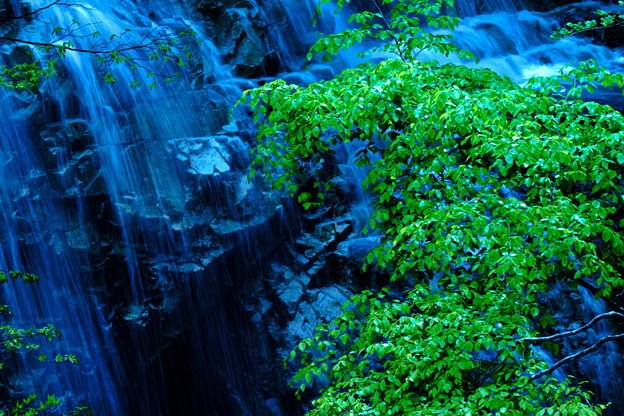 写真: 山間の滝