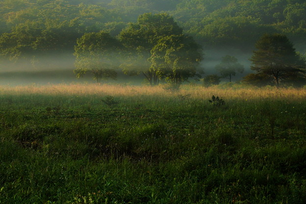 写真: 朝霧流れる