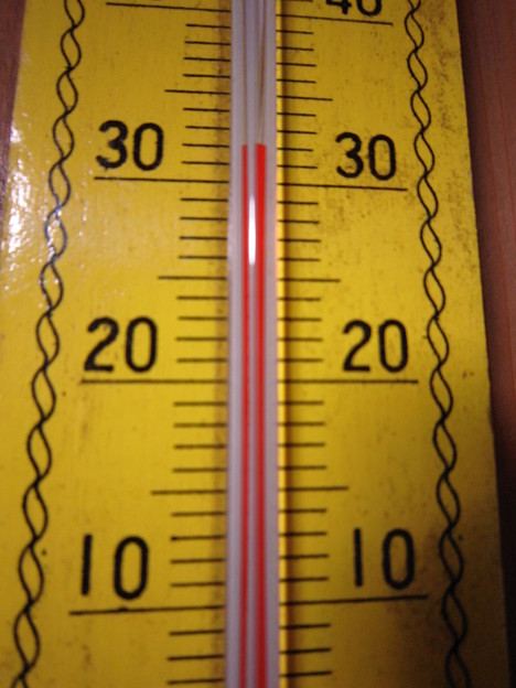 写真: 家の中の温度計