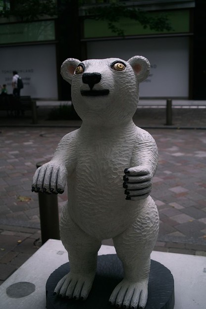写真: 白熊