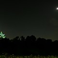 写真: 名古屋城と月