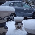 写真: 庭の雪と車