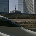 写真: 東京駅にて