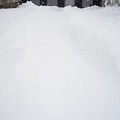 写真: 庭の雪