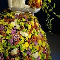 写真: 二本松の菊人形展
