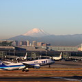 写真: E57W6670_B787と富士山