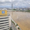 水害で水が茶色い信濃川と柳都大橋