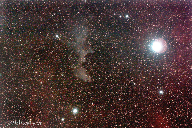IC2118魔女の横顔星雲(エリダヌス座)