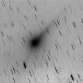 写真: C/2015 V2 ジョンソン彗星　20170527未明　階調反転