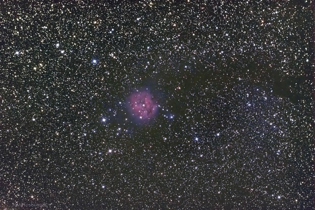 写真: IC5146　まゆ星雲