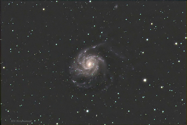 写真: M101 20180209