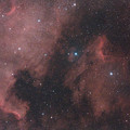 写真: ペリカン星雲