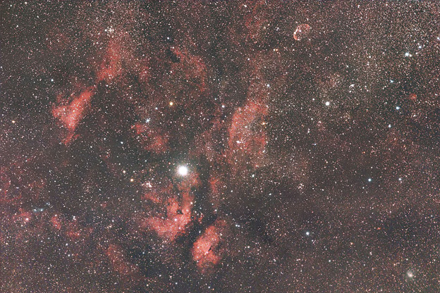 写真: IC1318　2019
