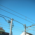 写真: 青空と電線