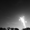 写真: The first fireworks photography.