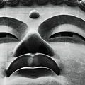 写真: Ushiku great statue of Buddha.