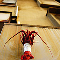 写真: If look up; a lobster.