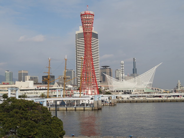 写真: Kobe 赤と白