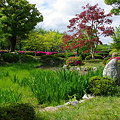写真: 京都　東寺　園庭