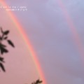 写真: 午後7時の虹。