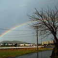 今日午後２時の虹