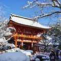 雪の上賀茂神社
