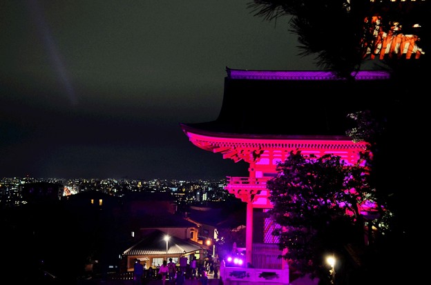 写真: 2015ピンクリボンデーライトアップ清水寺