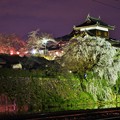 写真: 大和郡山城しだれ夜桜