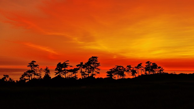写真: 夕焼　見越しの松