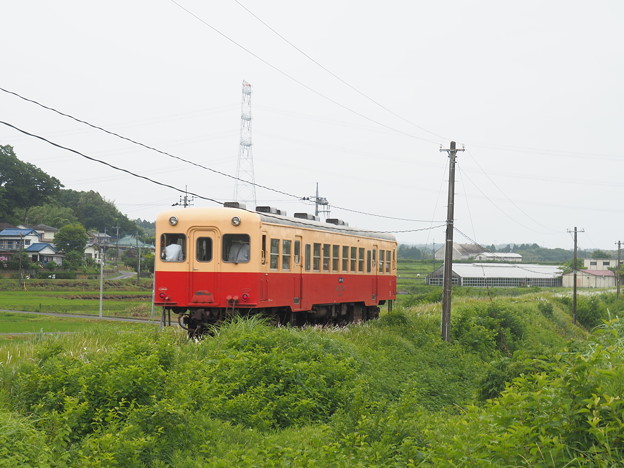 写真: 小湊鉄道 キハ200型 上総牛久〜馬立