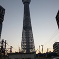 sizuoka 066