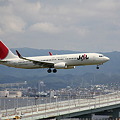 写真: JAL Boeing 737-800