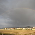 今年初の虹〜