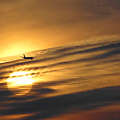 写真: 夕陽と飛行機