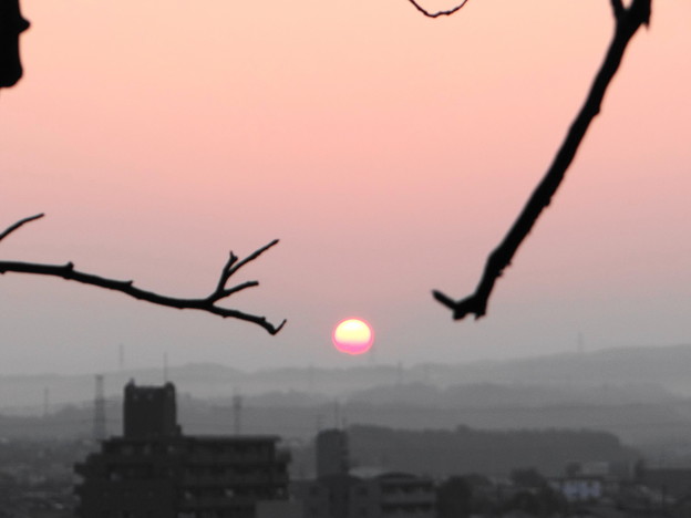 写真: 豊田市の日の出