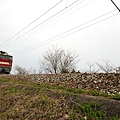 写真: 赤川橋梁付近を走る羽越本線貨物列車
