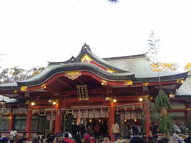 写真: 初、西宮神社。ここは１０日が本番やね。