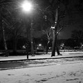 写真: 雪・公園・夜（モノクロ）